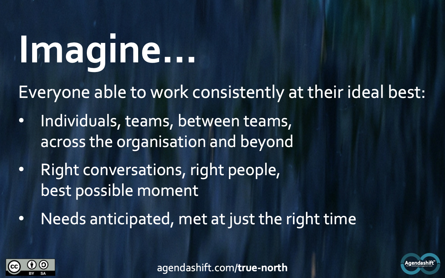 true-north-2020-08-12